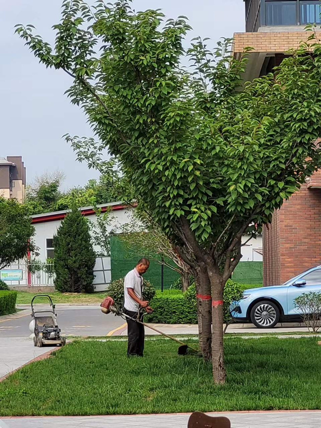 �L(ch��ng)�ſƼ��a(ch��n)�I(y��)�@