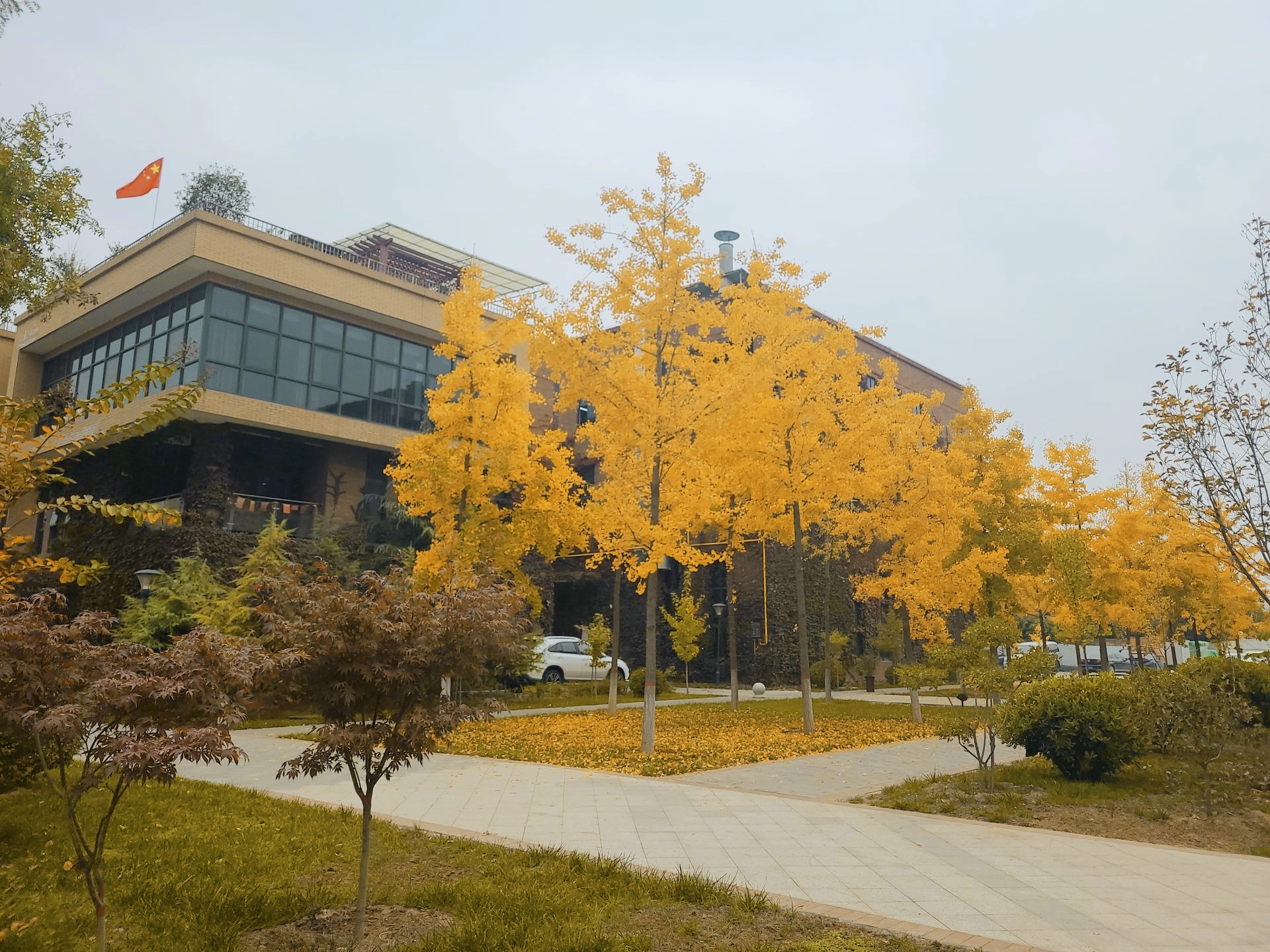 �L(ch��ng)�ſƼ��a(ch��n)�I(y��)�@