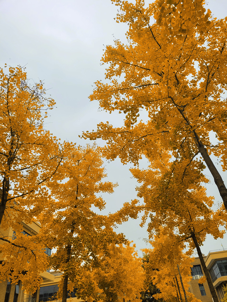 �@�^��ʥ�� �y��֪����