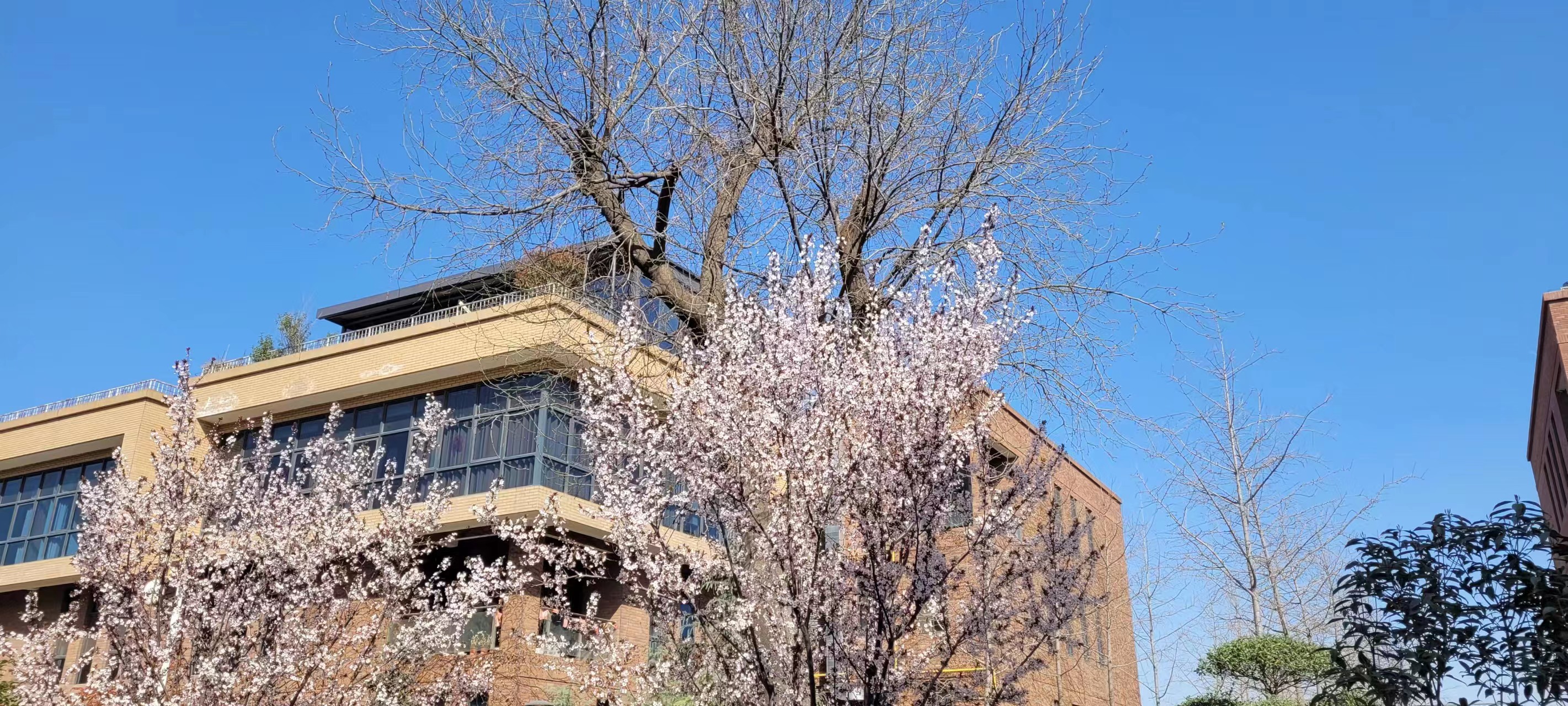 �L(ch��ng)�ſƼ��a(ch��n)�I(y��)�@