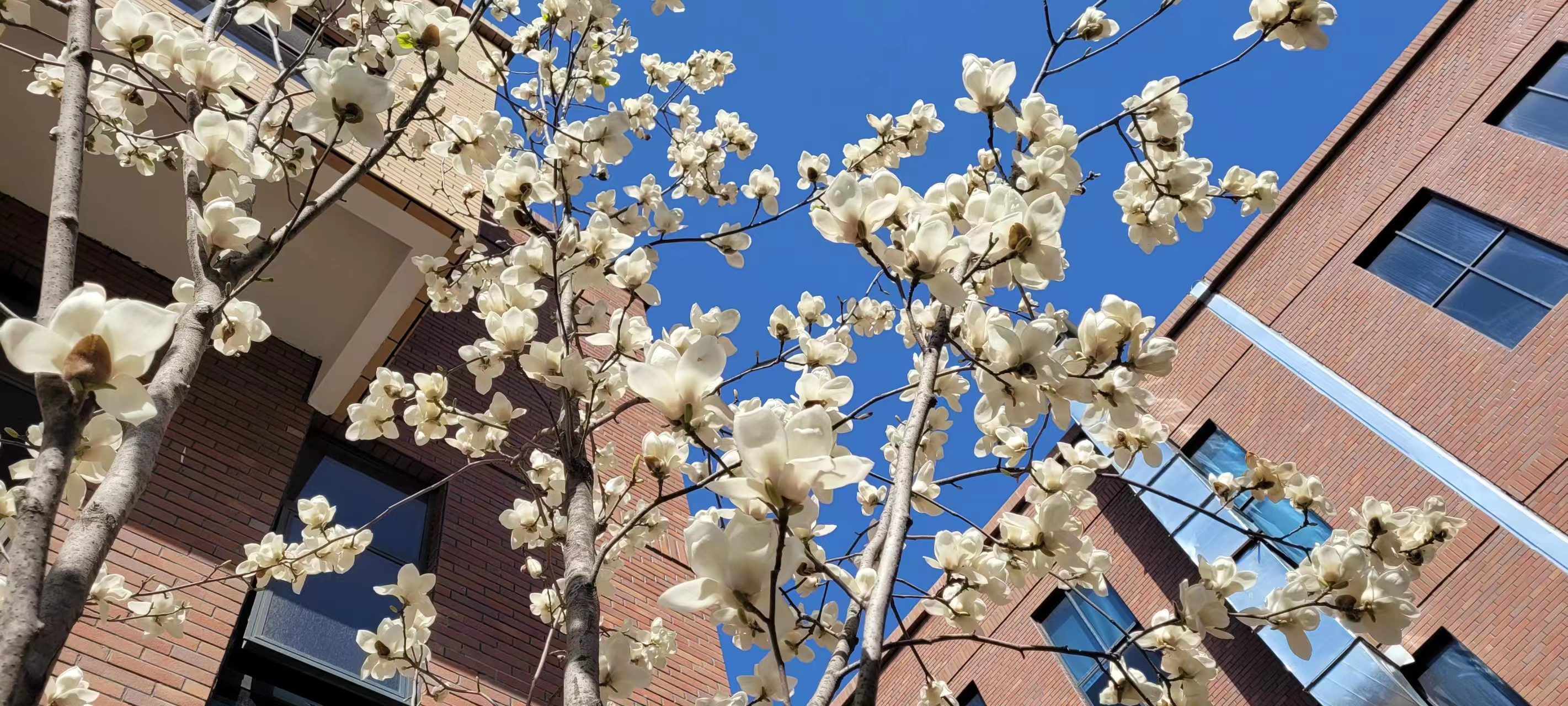 �L(ch��ng)�ſƼ��a(ch��n)�I(y��)�@