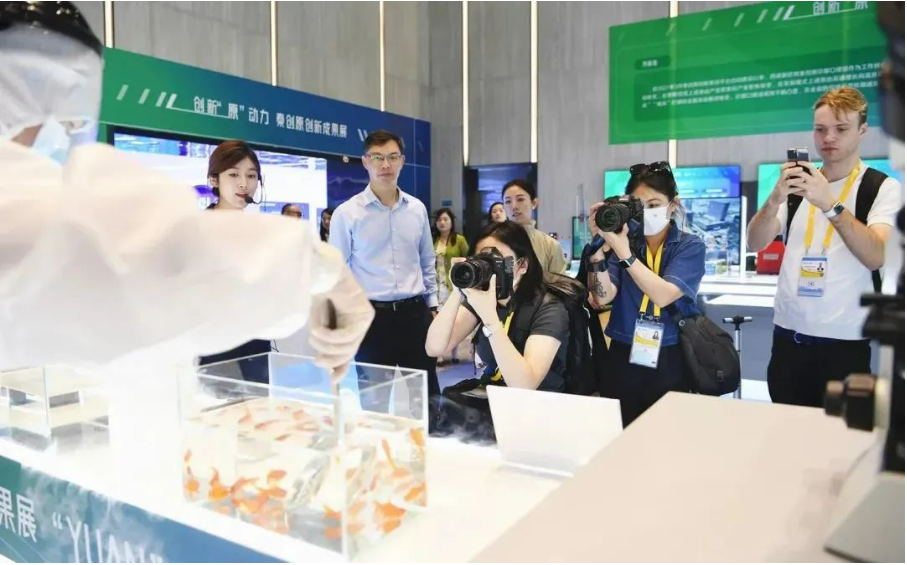 ����̫������!