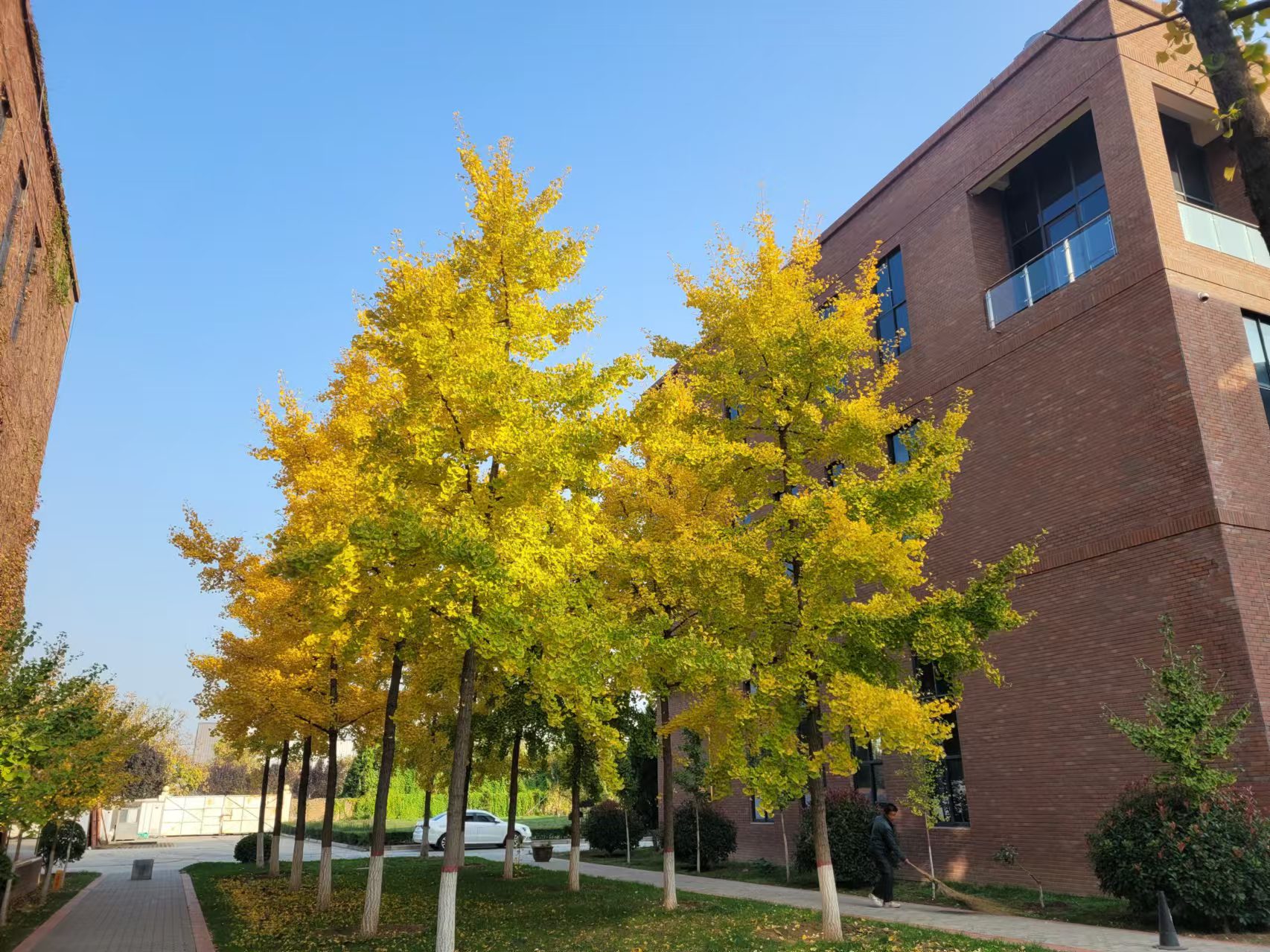 �L(ch��ng)�ſƼ��a(ch��n)�I(y��)�@���y��֮��