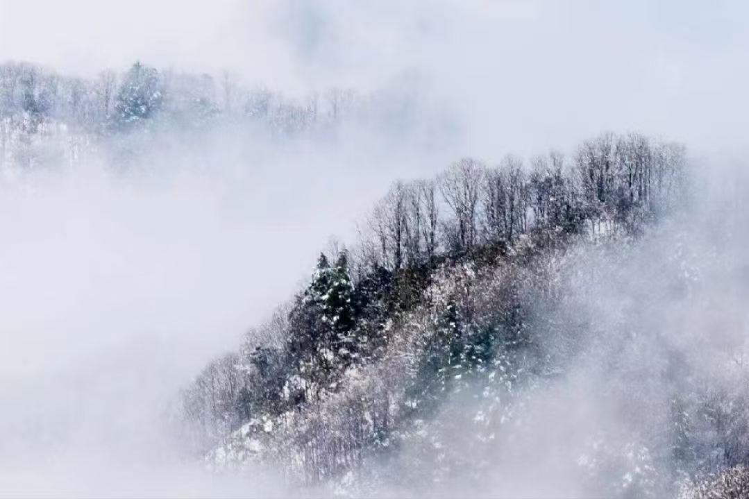 �L(ch��ng)�ſƼ��a(ch��n)�I(y��)�@