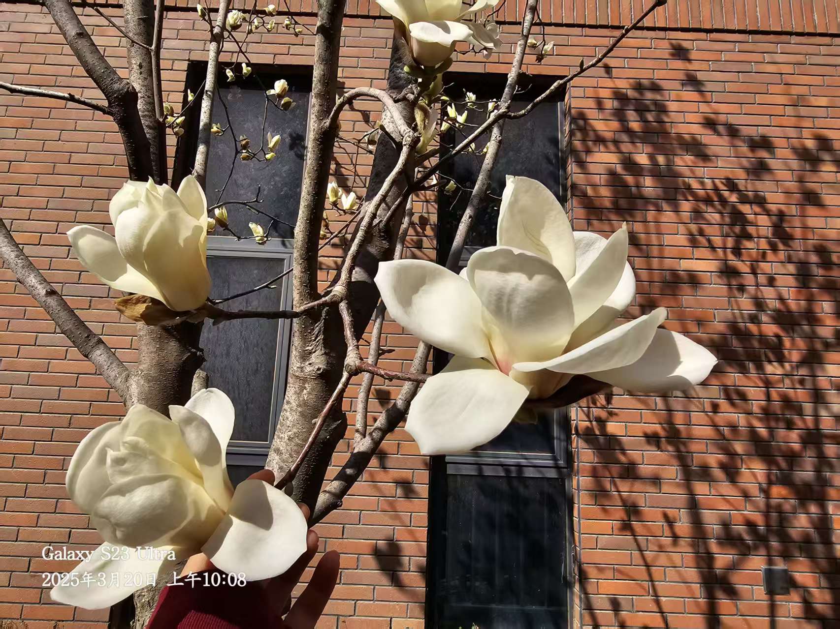 �L(ch��ng)�Ŵ����L��