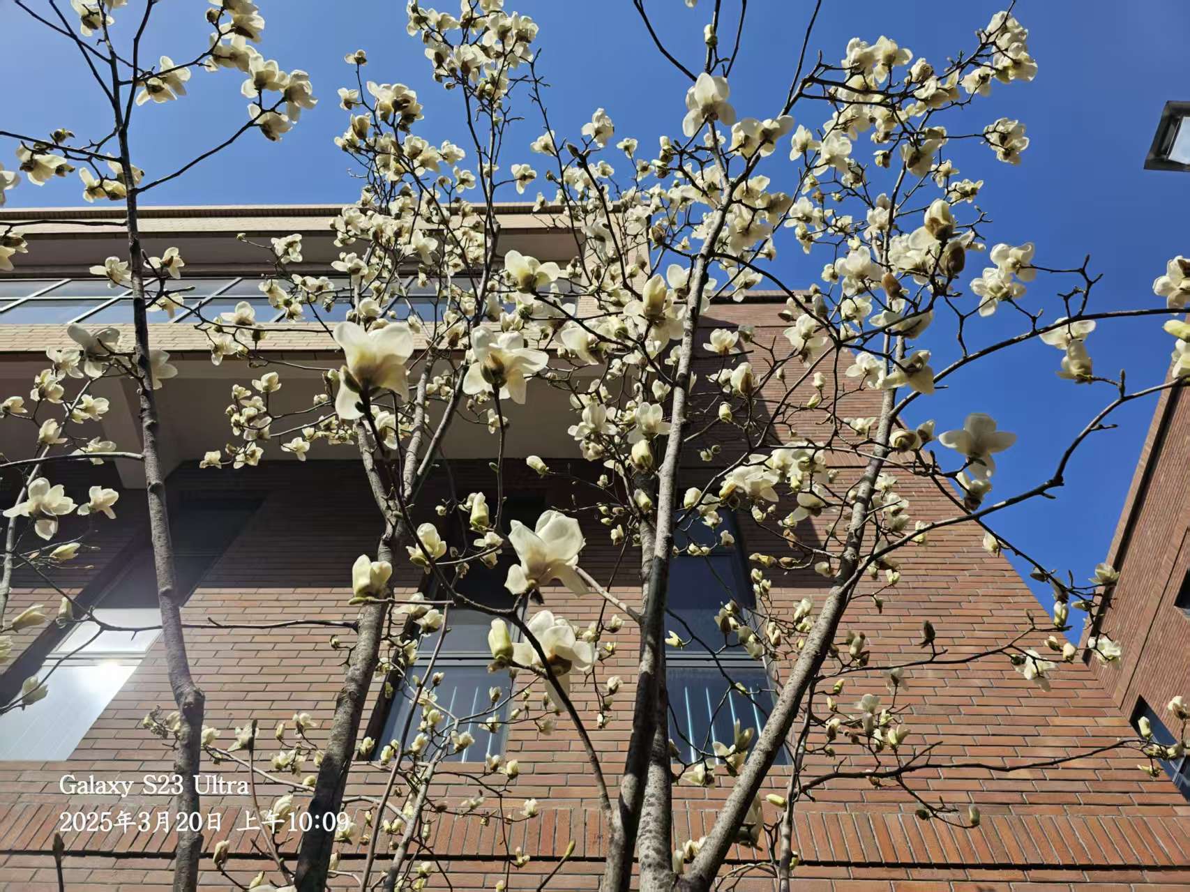 �L(ch��ng)�ſƼ��a(ch��n)�I(y��)�@